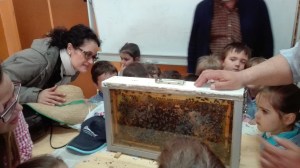 IMG_20160425_121516 (Large)