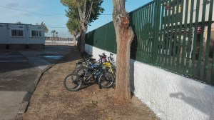 img_20161130_095730-large