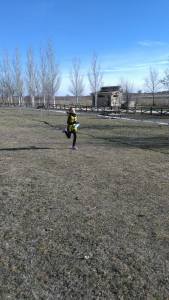 16179680_794650517356971_438404822345015274_o