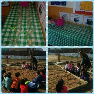 img-20170203-wa0018-medium