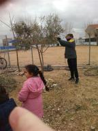 img-20170204-wa0006-medium